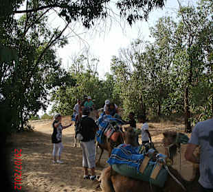 Kameltour