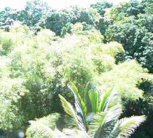 Landausflug St.Lucia