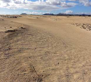 Impressionen aus der Dünenlandschaft