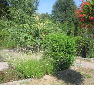 Kurpark Bad Bergzabern