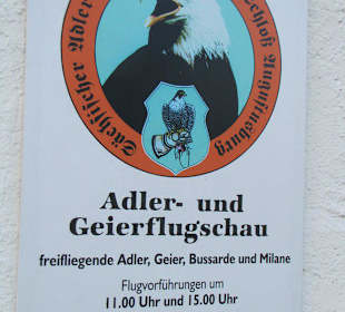 Flugshow Falkenhof Augustusburg