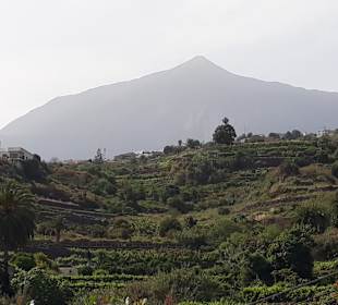 Inselrundfahrt AIDA Tagestour