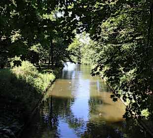 Łazienki królewskie, park