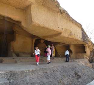 Im Nationalpark Sanjay Gandhi