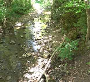 Wanderweg Sieben-Täler-Runde 