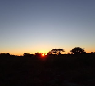 Etosha