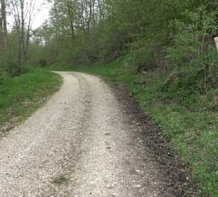 Premiumwanderweg Hochgebürzelt