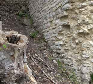 Eiszeitpfad - Burgfelsenpfad