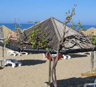 Strandschirm