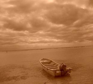 Tauchen in Boca Chica mit Caribbean Divers