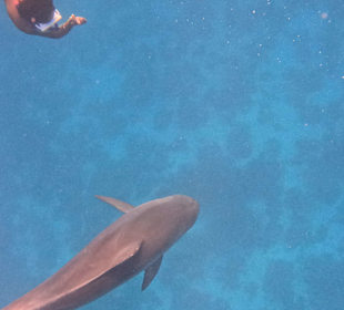 Da hatte ich bisschen Herzklopfen 