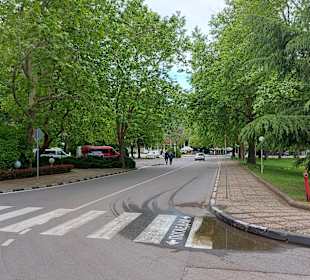 Albena 