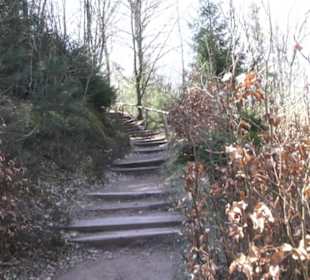 Teufelstisch Hinterweidenthal