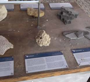 ALB-GOLD Naturgarten