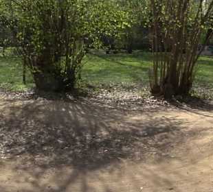 Unterer Schlossgarten Stuttgart