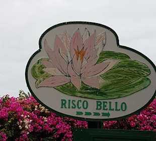 Zugang beim Casino Taoro