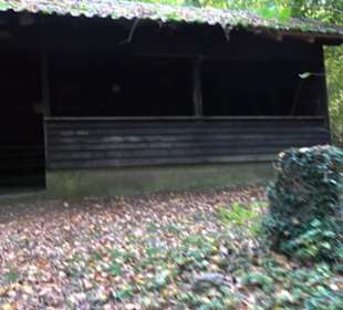 Wanderung Felsen Sankt Johann