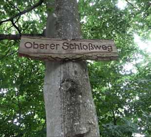 FriedWald Schönbuch