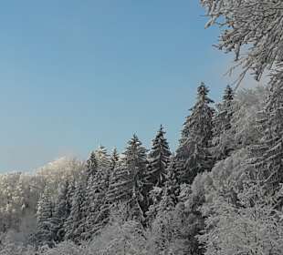 Wandern Freyung