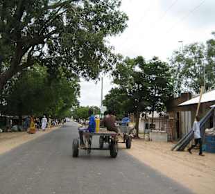 Westafrican Highway