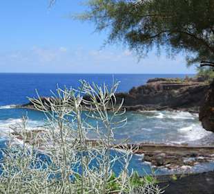 Inselrundfahrt La Palma
