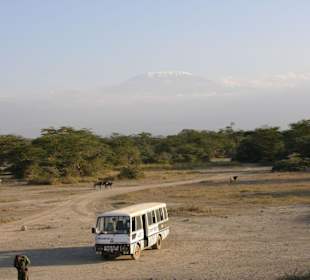 Safari-Bus