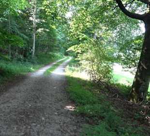 Premiumwanderweg "hochgesprudelt"