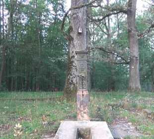 Brunnen Wasenwald