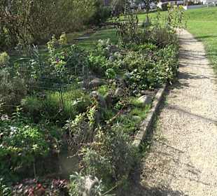 Park Oase der Gesundheit