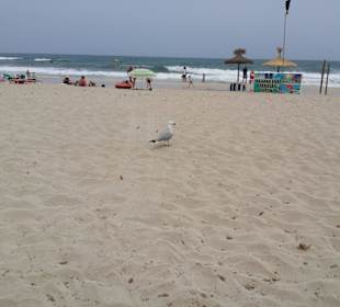 Schöner sauberer Sandstrand