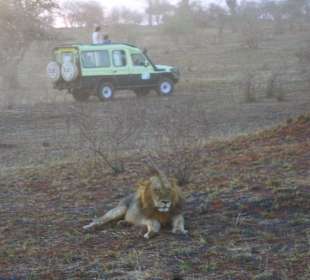 DM Fahrzeuge treffen sich bei den Löwen