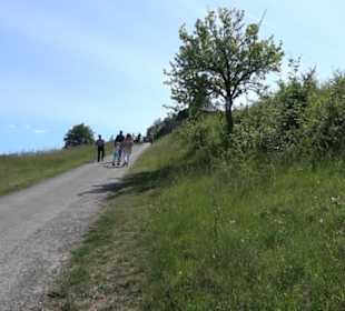 Früchtetrauf - Wurmlinger Kapellenwegle