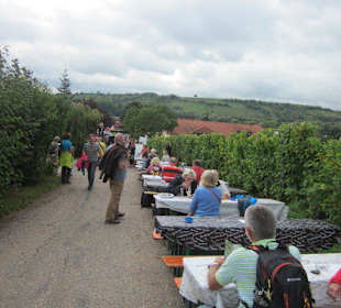 Kulinarische Weinbergswanderung