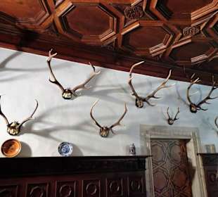 Im Jagdzimmer der Burg