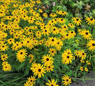 Rundgang durch den Botanischen Garten