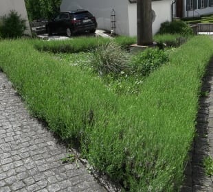 Geistliches Viertel
