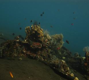 Die Überreste der Liberty