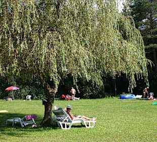 40 Grad ein Baum eine Liege u.ein Buch  Perfekt !