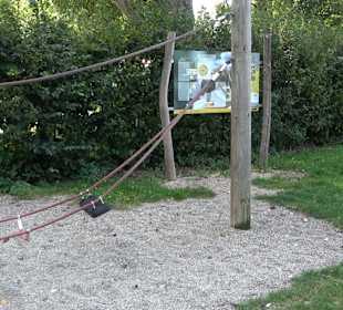 Schaukelweg an der Donau
