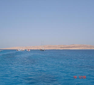 Giftun / Mahmya Inseln 