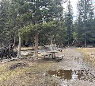 Yellowstone Nationalpark