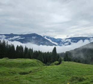 Ausblick
