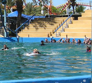 Water Land