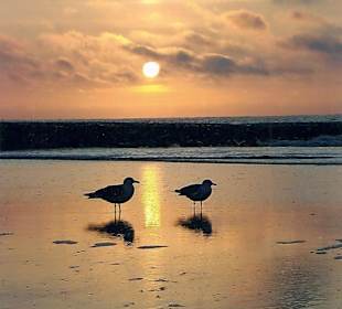 Sonnenuntergang Norderney