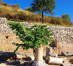 Ausflug Ephesus 20.10.2013 Bilder sagen mehr als..