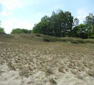 Naturschutzgebiet Boberger Niederung