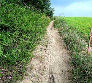 Wanderung Loddiner Höft