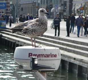 Ну как же без них!