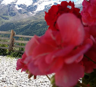 Wandern Curon Venosta / Graun im Vinschgau