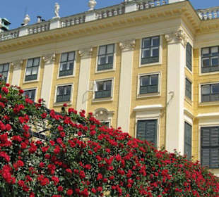 Schönbrunn
